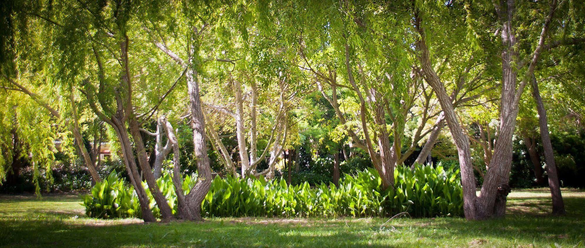 Willowbrook Country House Le Cap Extérieur photo